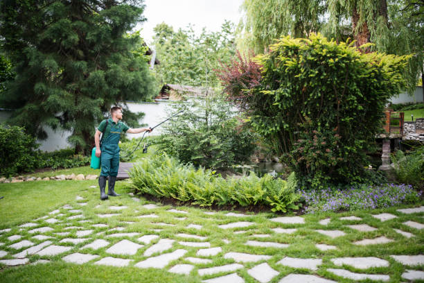 Best Commercial Pest Control Services  in Big Coppitt Key, FL