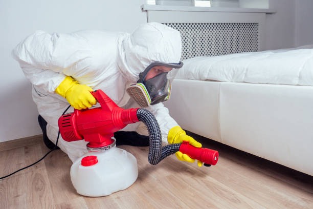 Trusted Big Coppitt Key, FL Pest Control Experts